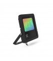 ARCHEO SLIM RGB II PROJECT 30W NOIR IP65 DETECT HF