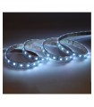 BANDEAU RGB 5M 60LED ET 9W-M IP67 24V TUBE SILICONE